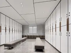 星空体育-风云突变阿贾克斯窗口期更衣室发声纽卡斯尔战术微调备战全明星赛，里尔清晨刷新队史纪录瞬间刷屏的简单介绍